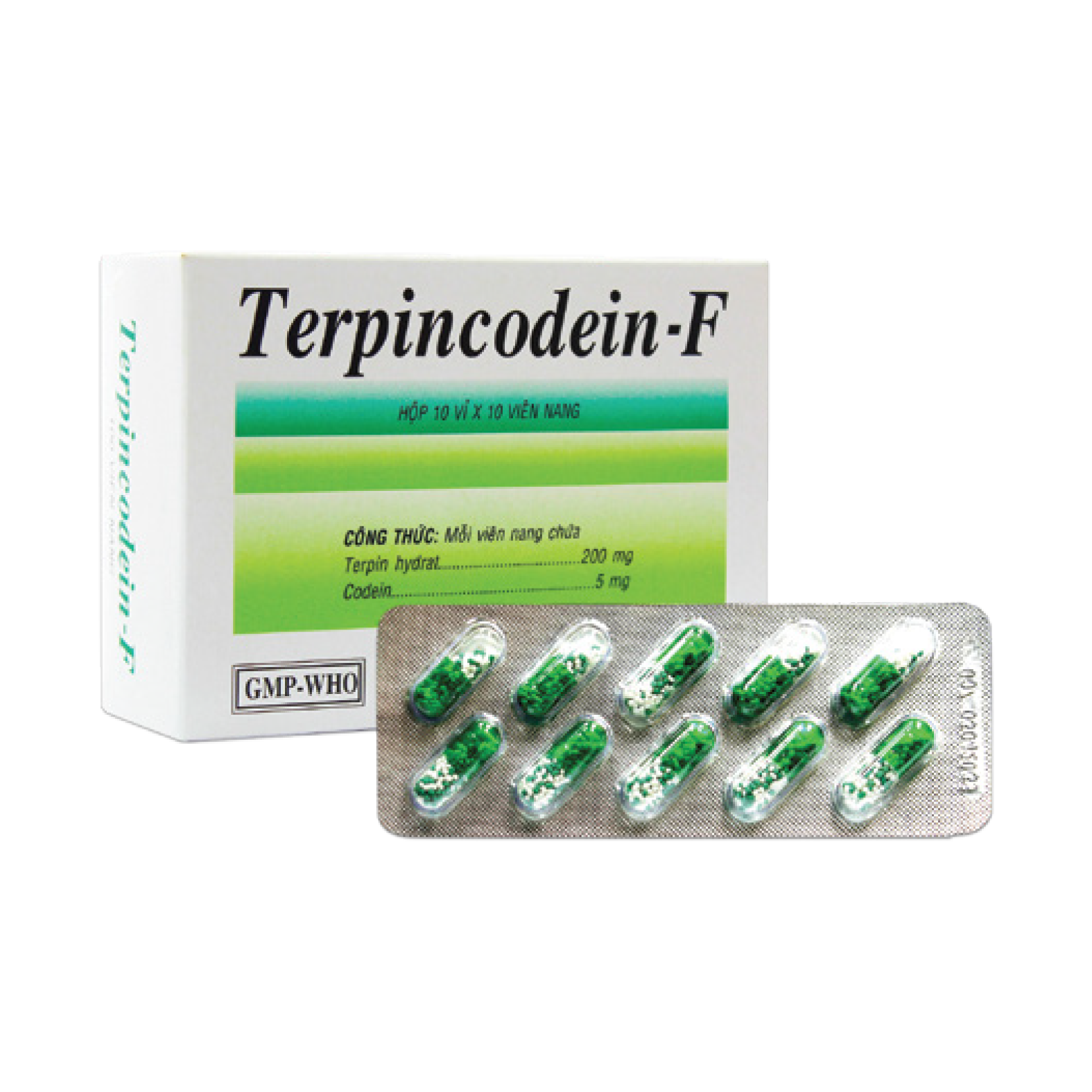 Viên nang cứng Terpincodein-F v/10,h/100